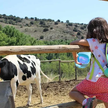 Casa El Tio Carrascon - Rural Hostel *